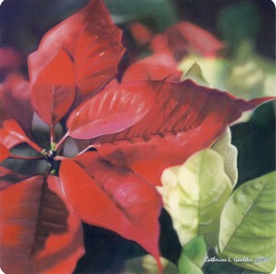 Poinsetta